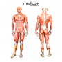 Перкуссионный ручной массажер для тела и мышц Medica+ MassHand Pro 5.0 (Япония)