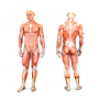 Перкуссионный ручной массажер для тела и мышц Medica+ MassHand Pro 6.0 (Япония)